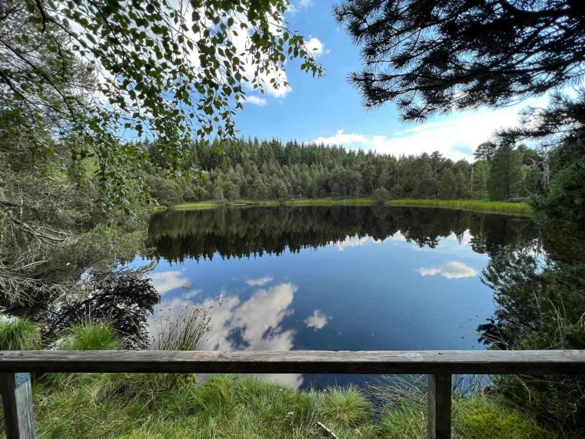 Apartment Annis Panoramablick Pool Sauna Tennis Schonach im Schwarzwald Exteriér fotografie
