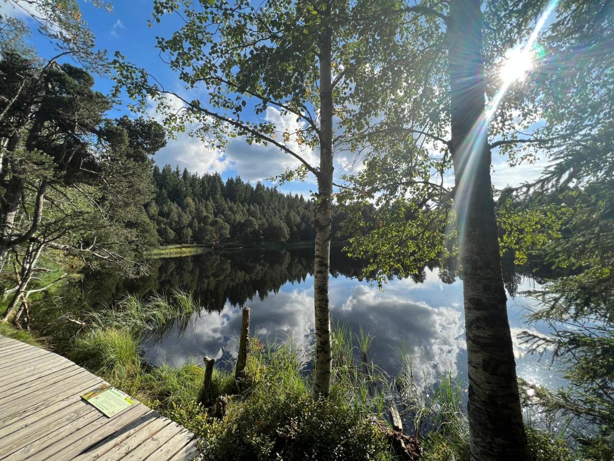 Apartment Annis Panoramablick Pool Sauna Tennis Schonach im Schwarzwald Exteriér fotografie