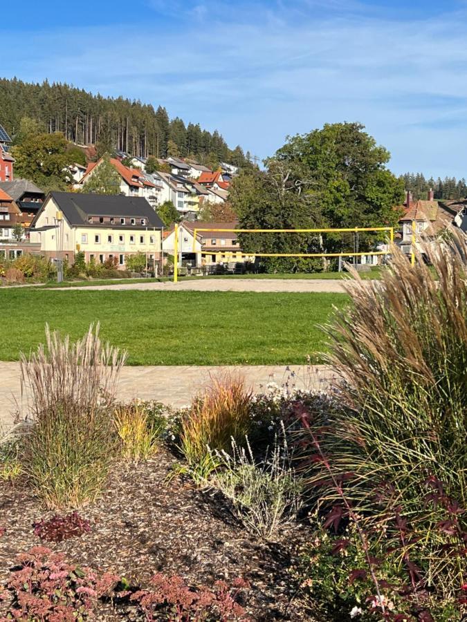 Apartment Annis Panoramablick Pool Sauna Tennis Schonach im Schwarzwald Exteriér fotografie
