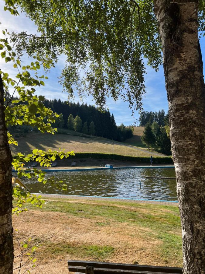 Apartment Annis Panoramablick Pool Sauna Tennis Schonach im Schwarzwald Exteriér fotografie